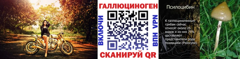 Галлюциногенные грибы Psilocybe Кашин